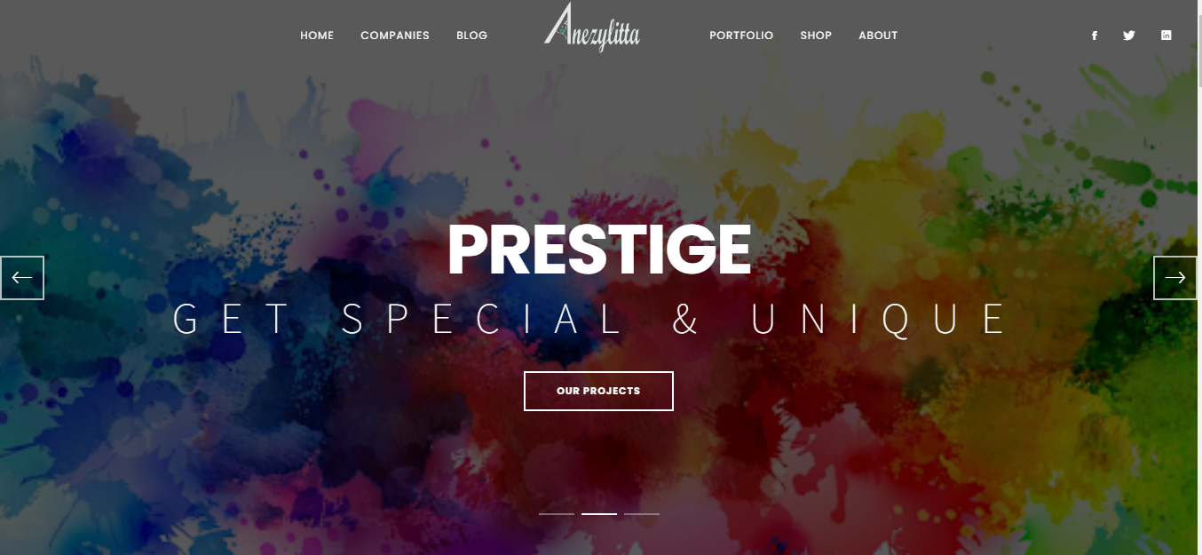 Anezylita Group Of Companies Website